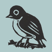 Bird Puzzle icon